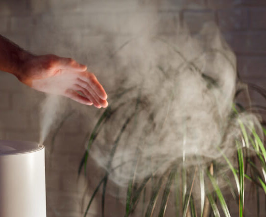 A man holds his hand over steam rising from a humidifier next to a house plant.