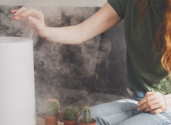 A woman holds her hand over steam rising from a humidifier next to succulents on the coffee table,